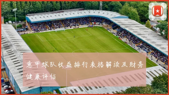 意甲球队收益排行表格解读及财务健康评估