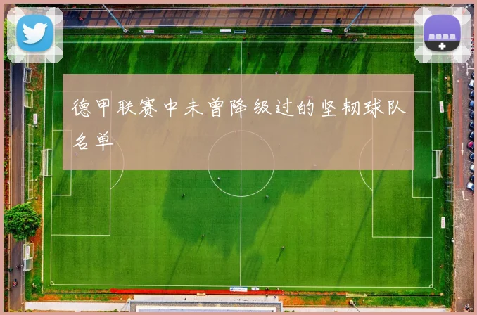 德甲联赛中未曾降级过的坚韧球队名单