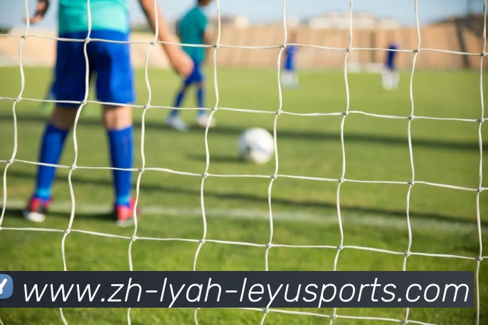 乐鱼体育平台生态图